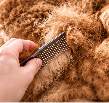 Comb working through a tangled coat